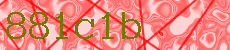 881c1b